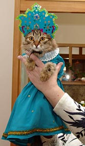 Хозяйка медной горы