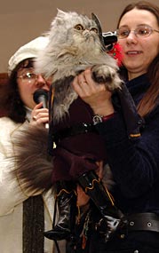 Кот в сапогах